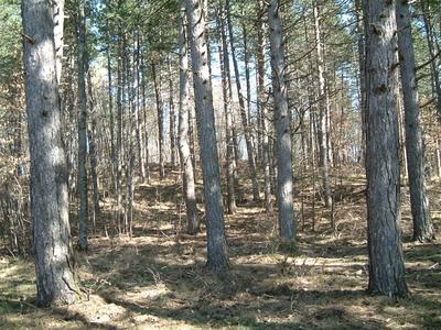 La cima di Poggio Tondo